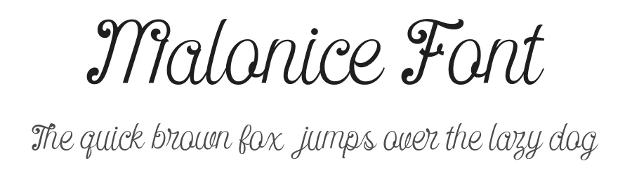 Malonice Font by Viaction Type.Co — Script Handwritten Font