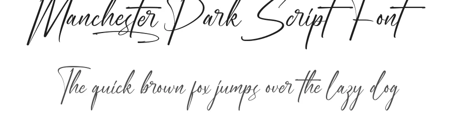 Manchester Park Script Font by noahtype — Script Handwritten Font