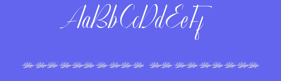 Manda Amora Font by VinType — Script Handwritten Font — thumbnail 3
