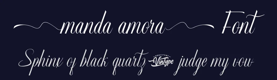 Manda Amora Font by VinType — Script Handwritten Font — thumbnail 2