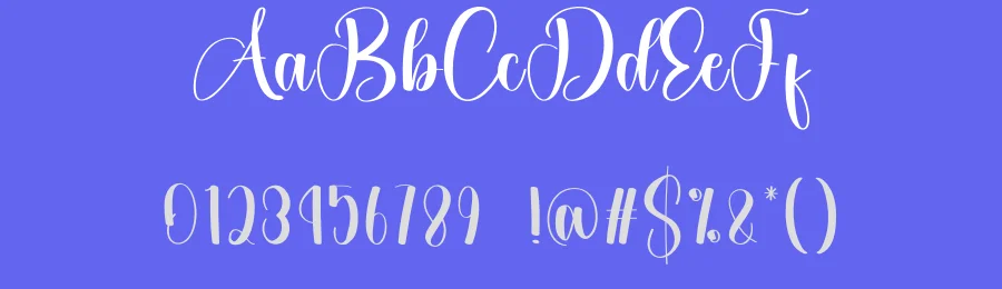 Mandala – Modern Script Handwritten Font by creativeletter — Script Handwritten Font — thumbnail 3