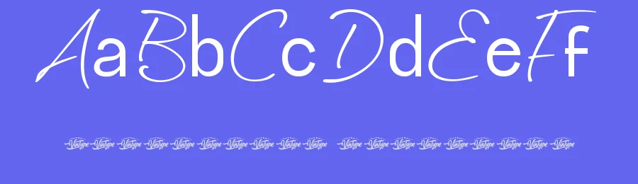 Mandariella Font by VinType — Script Handwritten Font — thumbnail 3