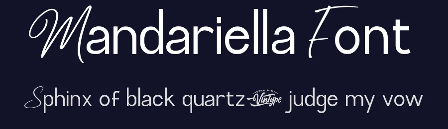 Mandariella Font by VinType — Script Handwritten Font — thumbnail 2