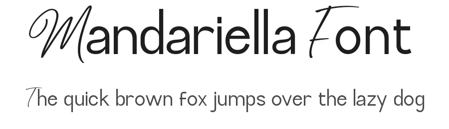 Mandariella Font by VinType — Script Handwritten Font