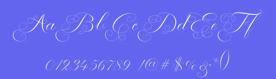 Manhattan Calligraphy Font by Shape Studio — Script Handwritten Font — thumbnail 3
