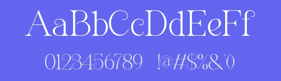 Maniefa Font by SlideShoot — Serif Font — thumbnail 3