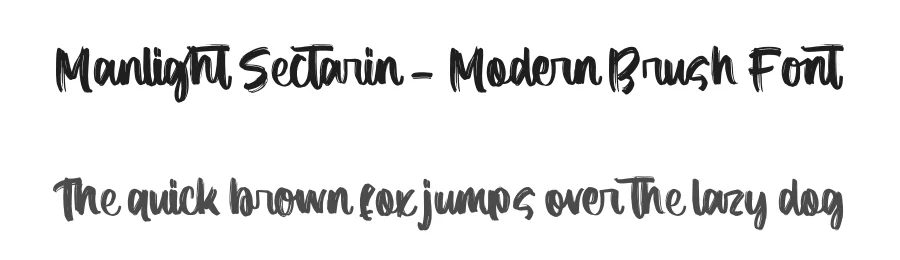 Manlight Sectarin – Modern Brush Font by letterenastudios — Script Handwritten Font