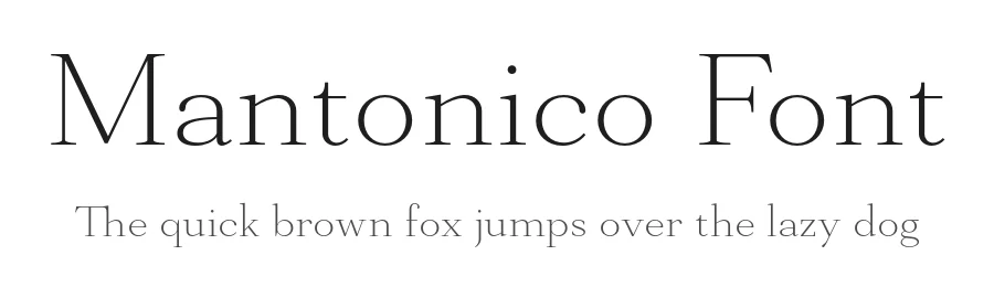 Mantonico Font by Pepper Type — Serif Font