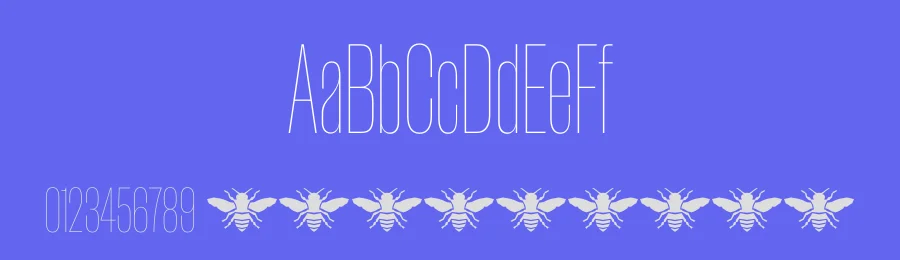 Manuka Font Family by Klim Type Foundry — Decorative Font — thumbnail 3