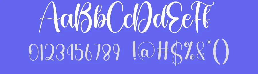 Margarita Calligraphy Font by creativeletter — Script Handwritten Font — thumbnail 3