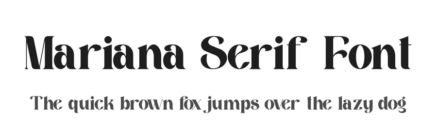 Mariana Serif Font by Storytype — Serif Font