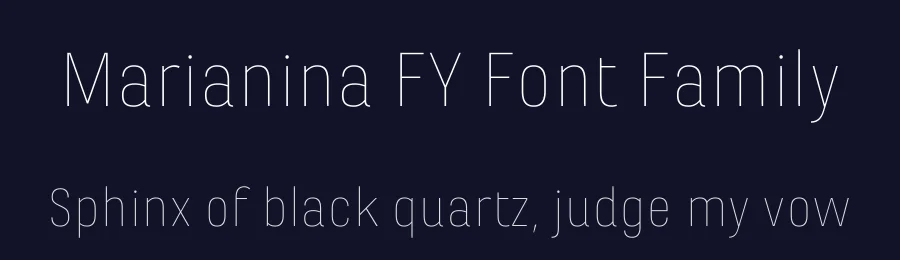 Marianina FY Font Family by Black Foundry — Sans Serif Font — thumbnail 2