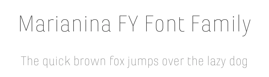 Marianina FY Font Family by Black Foundry — Sans Serif Font