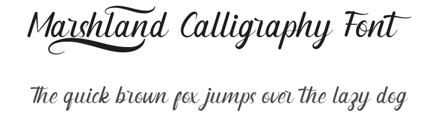 Marshland Calligraphy Font by RaisProject — Script Handwritten Font