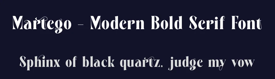 Martego – Modern Bold Serif Font by timelesstype.co — Display Font — thumbnail 2