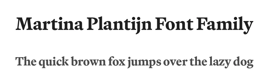Martina Plantijn Font Family by Klim Type Foundry — Serif Font
