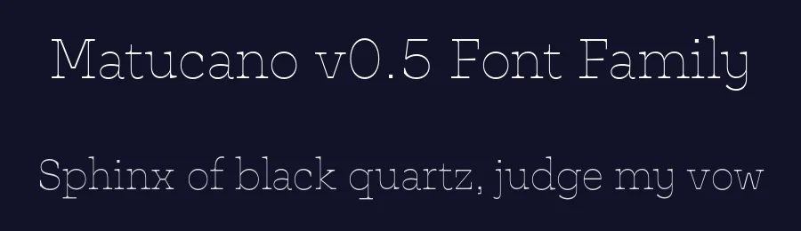 Matucano v0.5 Font Family by Identity Letters — Serif Font — thumbnail 2