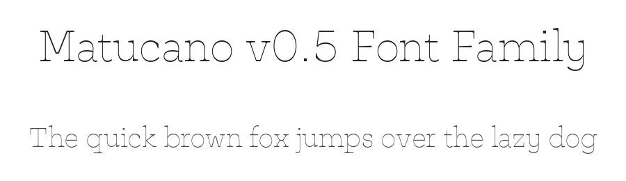 Matucano v0.5 Font Family by Identity Letters — Serif Font