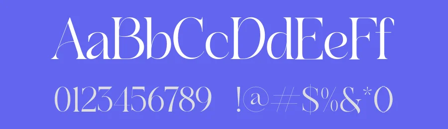 Maviscote Font by Artnivora Studio — Serif Font — thumbnail 3