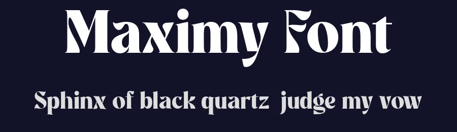 Maximy Font by Dantype — Serif Font — thumbnail 2