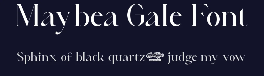 Maybea Gale Font by noahtype — Display Font — thumbnail 2