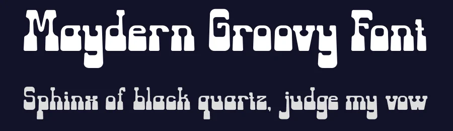 Maydern Groovy Font by BRAINWAVES STUDIO — Serif Font — thumbnail 2