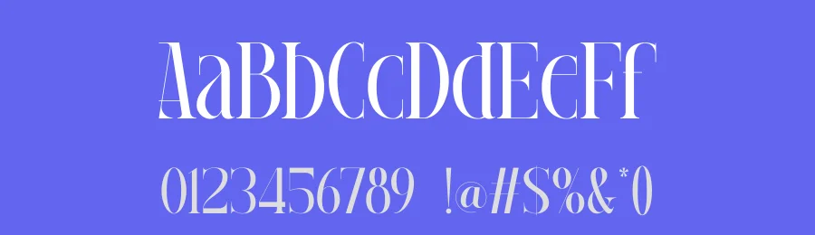 Meaglez Display Font by rvandtype — Serif Font — thumbnail 3