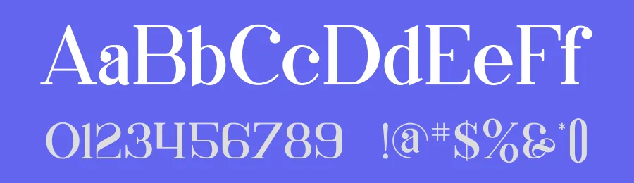 Meara Font by vpcreativeshop — Serif Font — thumbnail 3