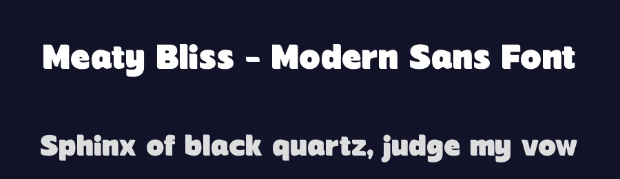Meaty Bliss – Modern Sans Font by timelesstype.co — Display Font — thumbnail 2