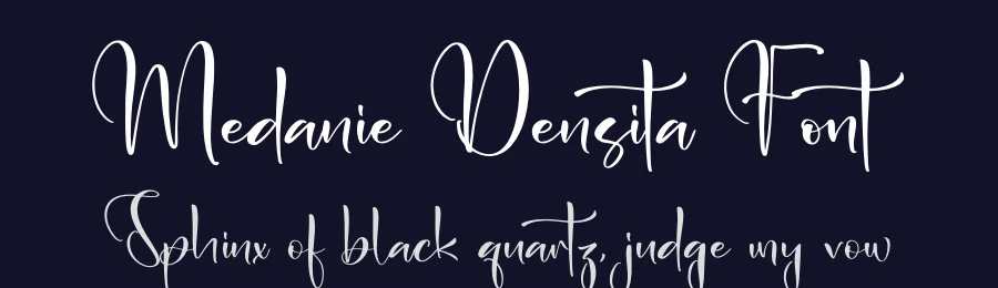 Medanie Densita Font by letterfabric — Script Handwritten Font — thumbnail 2