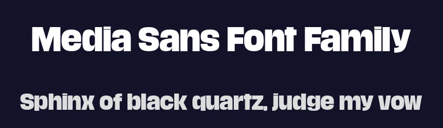 Media Sans Font Family by Production Type — Sans Serif Font — thumbnail 2