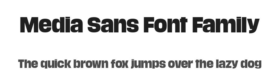 Media Sans Font Family by Production Type — Sans Serif Font