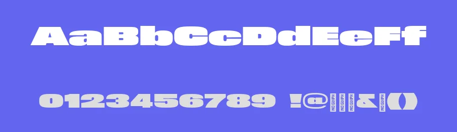 Mega Font Family by Matthieu Salvaggio — Display Font — thumbnail 3
