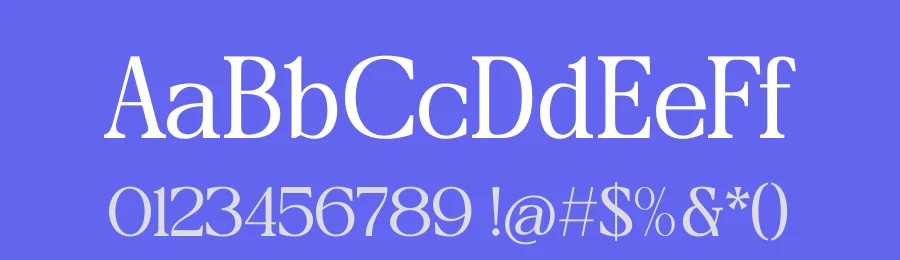 Megast – Modern Serif Display Font by timelesstype.co — Display Font — thumbnail 3