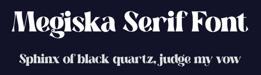 Megiska Serif Font by Storytype — Serif Font — thumbnail 2