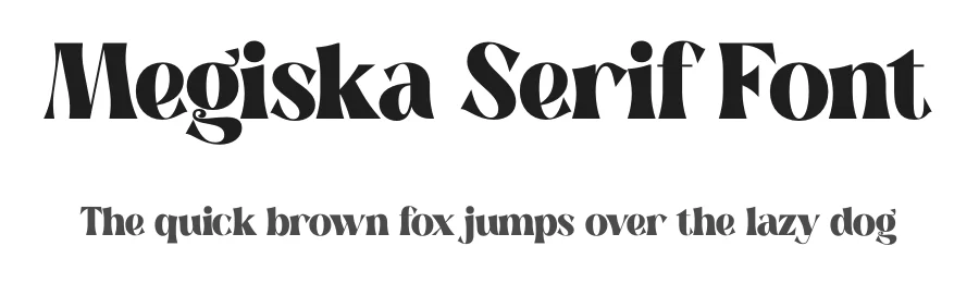 Megiska Serif Font by Storytype — Serif Font