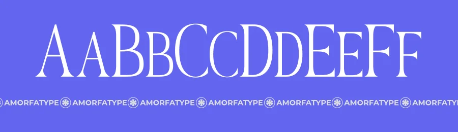 Megunso Font by Amorfa Type — Serif Font — thumbnail 3