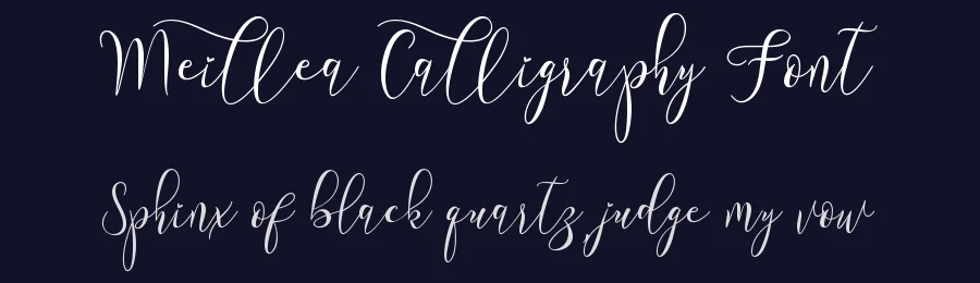 Meillea Calligraphy Font by Yoga Letter — Script Handwritten Font — thumbnail 2
