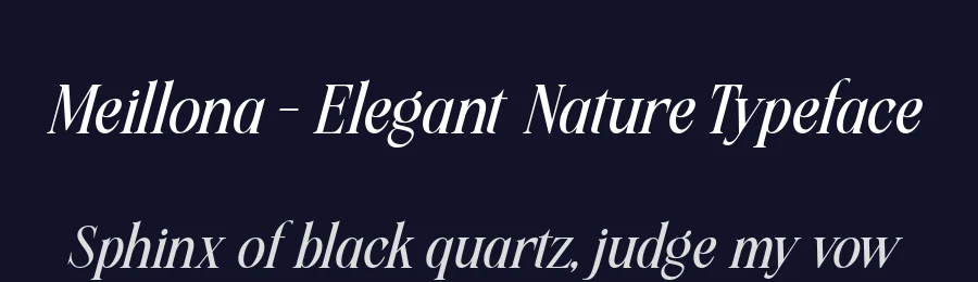 Meillona – Elegant Nature Typeface by alit design — Slab Serif Font — thumbnail 2