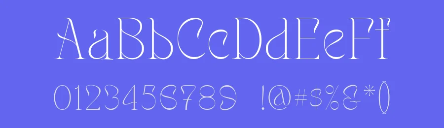 Meler Font by ClevUs — Serif Font — thumbnail 3