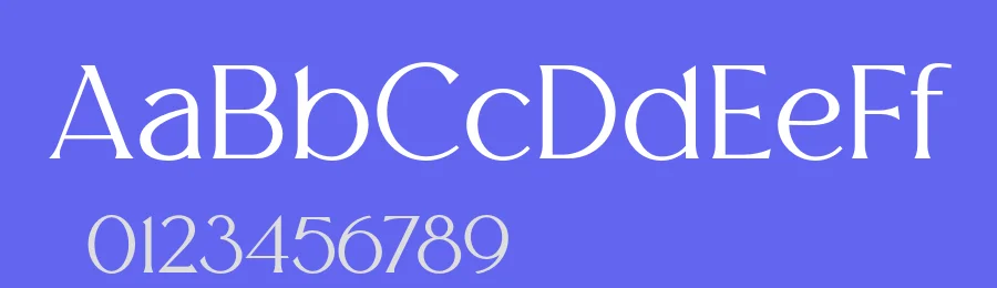 Melion Font Family by OWL KING — Serif Font — thumbnail 3
