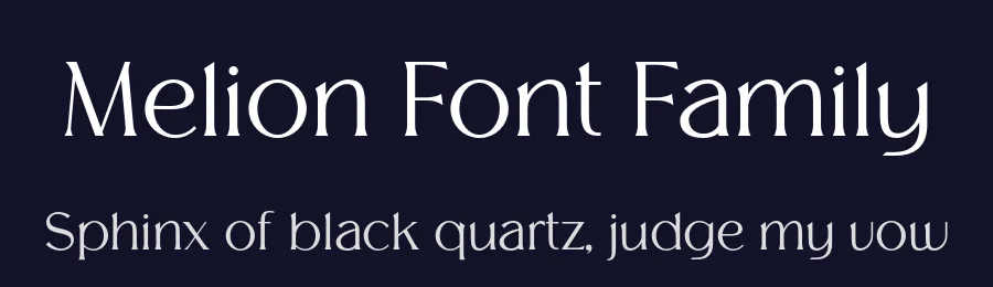 Melion Font Family by OWL KING — Serif Font — thumbnail 2