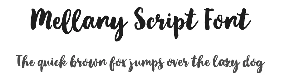 Mellany Script Font by metafontsy — Script Handwritten Font