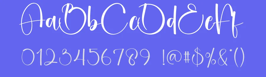 Melody Display Script Font by creativeletter — Script Handwritten Font — thumbnail 3