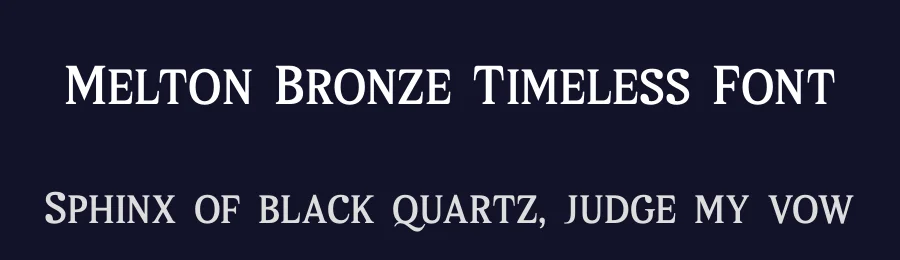 Melton Bronze Timeless Font by Storytype — Serif Font — thumbnail 2
