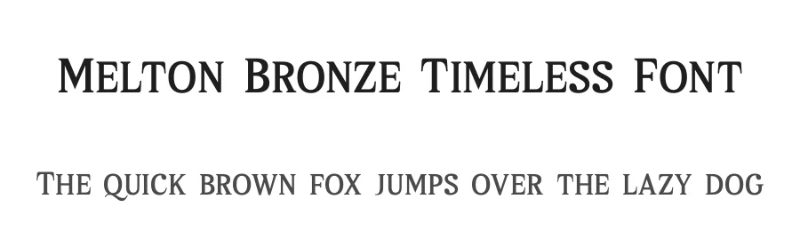 Melton Bronze Timeless Font by Storytype — Serif Font