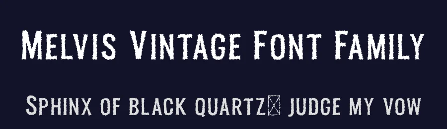 Melvis Vintage Font Family by Craft Supply Co. — Sans Serif Font — thumbnail 2