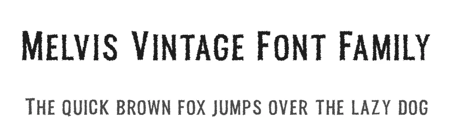 Melvis Vintage Font Family by Craft Supply Co. — Sans Serif Font
