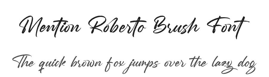 Mention Roberto Brush Font by stylishtype.co — Script Handwritten Font