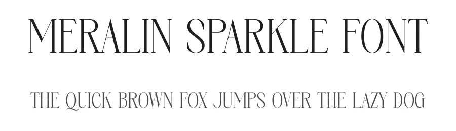 Meralin Sparkle Font by Storytype — Serif Font